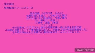 【試験的第二弾】東京臨海ドリームスターズ　望月佳音選手応援歌【架空球団/オリジナル応援歌】