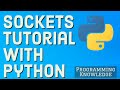 Socket Programming in Python | Socket Programming Course | Sockets tutorial with Python 3