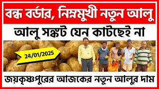 24/01/2025 : জয়কৃষ্ণপুরের আজকের নতুন আলুর দাম | New Potato Price in Joykrishnapur - India Potato