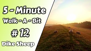 5-Minute-Walk-A-Bit - #12 - Dike Sheep - Northsea Tidelands Sunrise