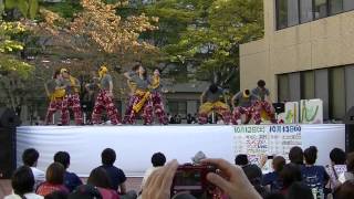 kmu2013学祭　正規hiphop