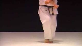 kyokushin karate bible 4 of 7