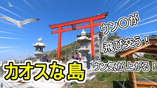 【蕪島】ウン〇が飛び交うカオスな島!!　八戸　青森県ツアー第十弾