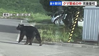 住宅街にクマ出没相次ぎ…登下校時間帯に役場などがパトロール　目撃されたのは同じ個体か　北海道新十津川町