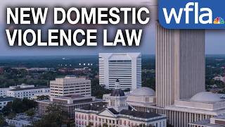 New law aims to support domestic violence survivors in Florida