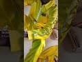 goated yellow nylon reflective tracksuit