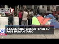 Más migrantes haitianos se aglutinan en el campamento de la colonia Juárez, CDMX