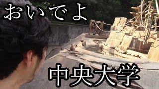 中央大学非公式PR動画　多摩キャンパス編