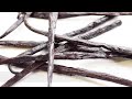 where to find vanilla beans online