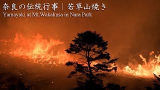 Yamayaki Mountain Burning and Fireworks at Mt.Wakakusa in Nara