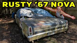 We Found a RUSTY ’67 Nova Hidden for Decades! (Plus a Monte Carlo & Corvette!)