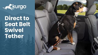 The Direct to Seatbelt Swivel Tether | Tangle-free seatbelt for dogs