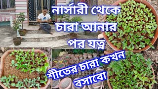 শীতের বাগান ২০২২-২০২৩ শুরু || কোন কোন গাছ এনেছি এবং তাদের শুরুতেই কীভাবে রাখছি My Garden Raju Paul