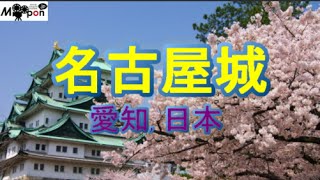 日本三名城の一つ！名古屋城！ 名古屋・愛知