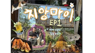 🇹🇭치앙마이 일주일 여행기 ep.1 - m1호텔, 반캉왓, 님만해민 에어비앤비 추천, 치앙마이 대학교 야시장