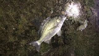 Fishing at Bakel fort beach Rocks