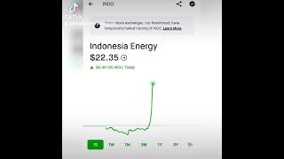 Why I recommended Indonesia Energy (INDO) at $15