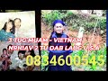 3 Tug Muam nyob VIETNAM Nrhiav 2 Tug Nus/Dab Laug Nyob USA