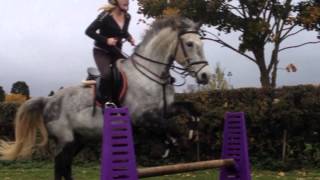 Jumping with a neck rope.. [no reins]