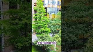 藏在建築裡的綠意｜絕美小森林｜寸土寸金｜誠品生活新板店