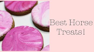 BEST HORSE TREATS | Horse Tips Equestrian