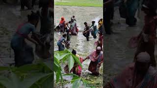 #ও_মাওই_গো_মাওই_গো #shortvideo #dance #উত্তরাঞ্চরের_বিয়ের_গীত_ও_ড্যান্স #funny #