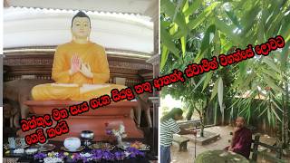 Travelling Ara|Travel Vlog 2024|බක්කුල මහ සෑය ගැන ආනන්ද ස්වාමීන් වහන්සේ අපිට කියූ කතාව