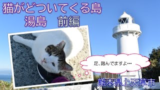 【ドライブ７】猫好き必見！！猫がどついてくる島　湯島　前編　熊本県上天草市