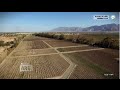 Vivo en Arg - Bodegas Merced del Estero desde el aire - 17-09-15