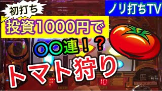 【リノ　Reno トマト狩り】投資1000円でトマト狩り　初打ち　爆連　ノリ打ちTV