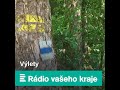 krajina jako na dlani. rozhledna kožich na jižním plzeňsku nabízí víc než jen úsměvné pojmenování