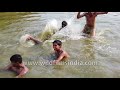 Children In A Pool At India Gate | Beat The Heat In Slow Motion