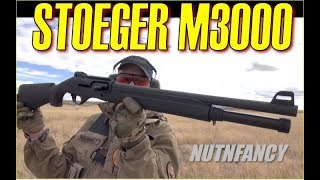 Who Needs a Benelli? Stoeger M3000