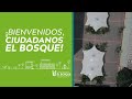 ¡Bienvenidos, Ciudadanos El Bosque!