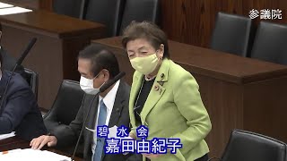 参議院 2021年04月08日 法務委員会 #09 嘉田由紀子（碧水会）