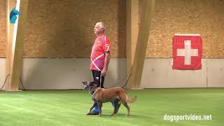 Qualification - Richard Pech + Orinza z Labskeho privozu/Malinois - CZE