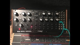 Moog DFAM (Drummer From Another Mother) Sound Demo