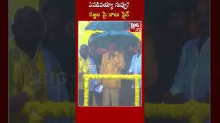 Chandrababu Fires On Sajjala Ramakrishna Reddy | ఎవడివయ్యా నువ్వు ? సజ్జల పై బాబు ఫైర్ | BIG TV