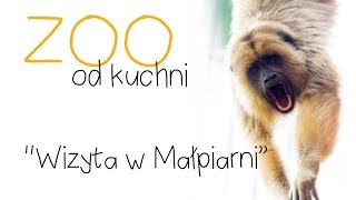 ZOO od kuchni odc 10 Wizyta w Małpiarni