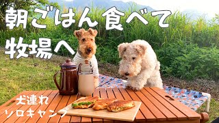 新車の軽トラで犬連れソロキャンプ【後編】大分久住山荘南登山口キャンプ場 MugiVlog91