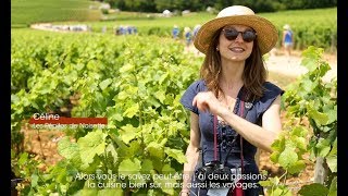 Balade gourmande de Ladoix , en Bourgogne - idée weekend