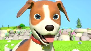 Bingo Dog Song & More Popular Nursery Rhymes for Kids by Little Treehouse