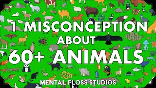 Misconceptions About 64 Different Animals