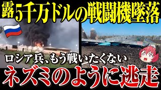 【ゆっくり解説】ロシア軍の航空機損失「自分達のせいが大半」Su-34墜落→高価な戦闘機をまた失う！ロシア兵士は戦闘を拒否しネズミのように逃走【ウクライナ情勢】