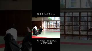 胸突き小手下ろし 2/100  #kiaikido #心身統一合氣道 #合氣道 #aikido #静岡 #shizuoka #凛心館道場