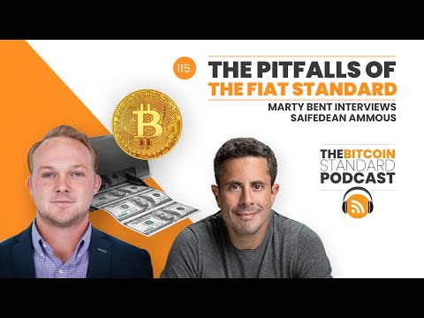 115. The pitfalls of the Fiat standard: Marty Bent interviews Saifedean Ammous