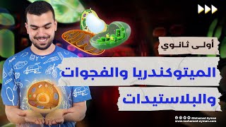 تابع تركيب الخلية🚨{ البلاستيدات و الميتوكندريا و الفجوات}1ثانوى🫡💕