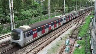 MLR Train, Hong Kong Railway港鐵東鐵綫中期翻新列車