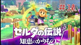 【ゼルダの伝説　知恵のかりもの】#30