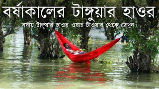 বর্ষায় টাঙ্গুয়ার হাওর ওয়াচ টাওয়ার থেকে দেখুন।